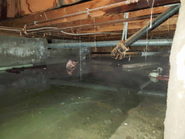Best Flooded house restoration  in Kent Estates, IA
