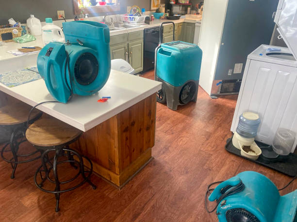Best Commercial water damage restoration  in Kent Estates, IA