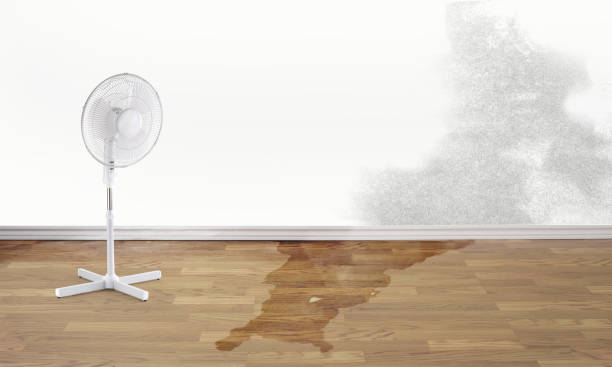 Best Ceiling water damage repair  in Kent Estates, IA