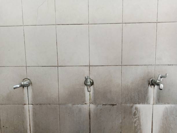 Best Water damage contractors near me  in Kent Estates, IA